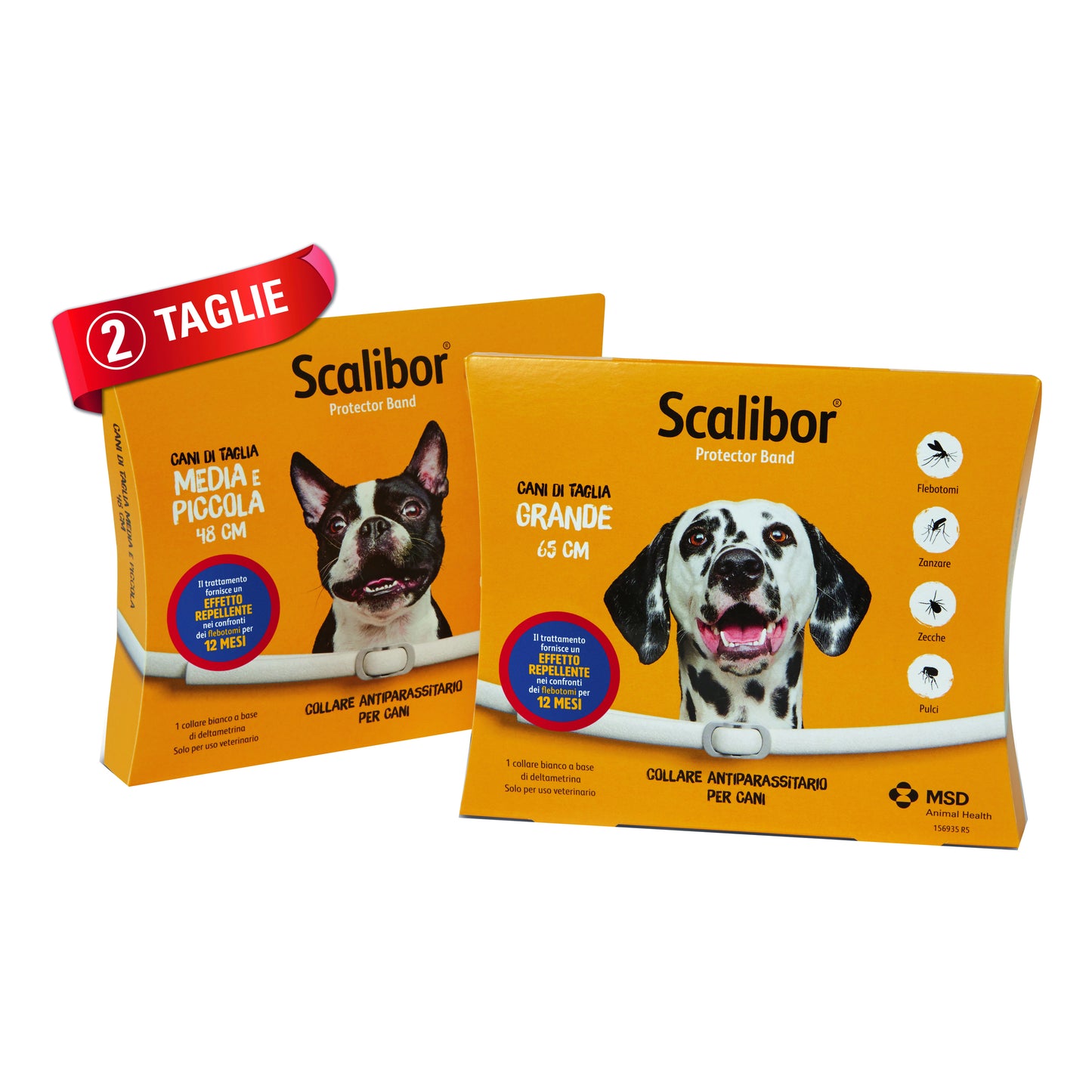 Scalibor Protector Band collare antiparassitario per cani da 65cm