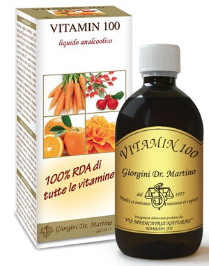 VITAMIN 100 LIQUIDO ANALC500ML