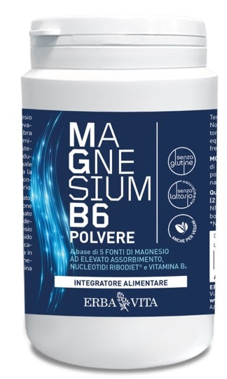 MAGNESIUM B6 POLVERE 200 G