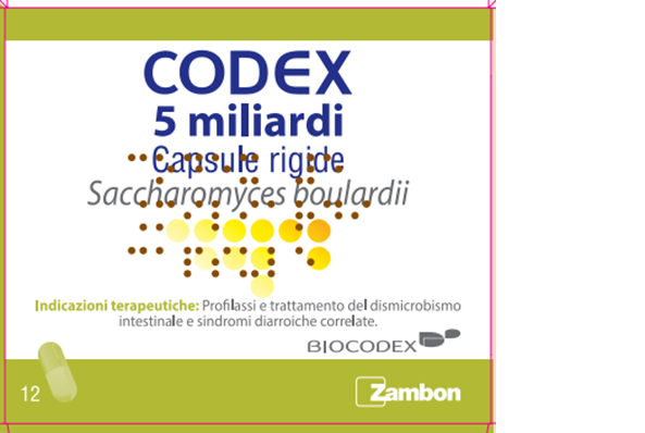 CODEX*12CPS 5MLD 250MG