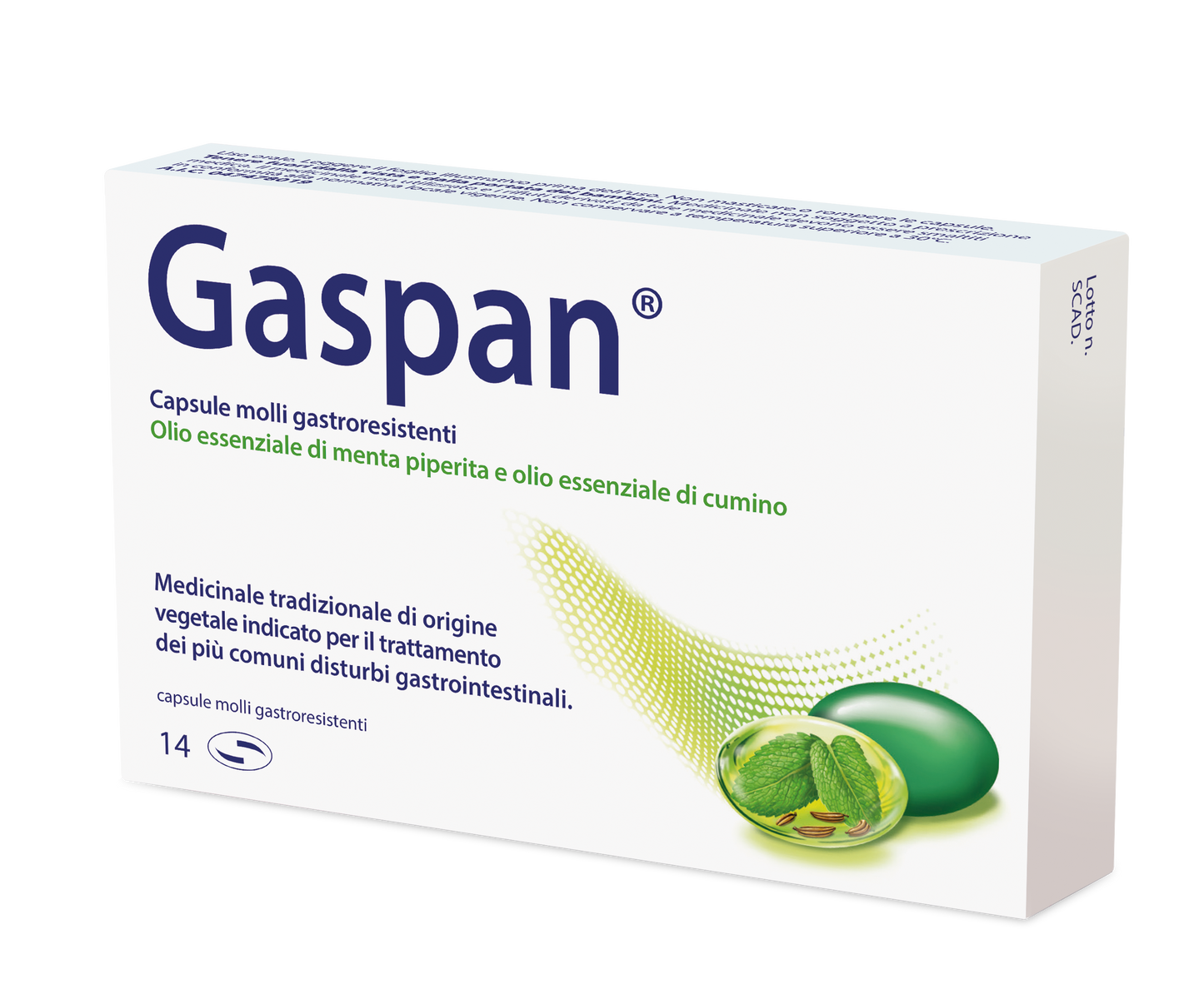 GASPAN*14CPS MOLLI GASTRORES