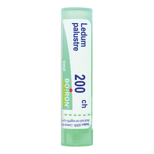 LEDUM PALUSTRE BOI*200CH GR 4G