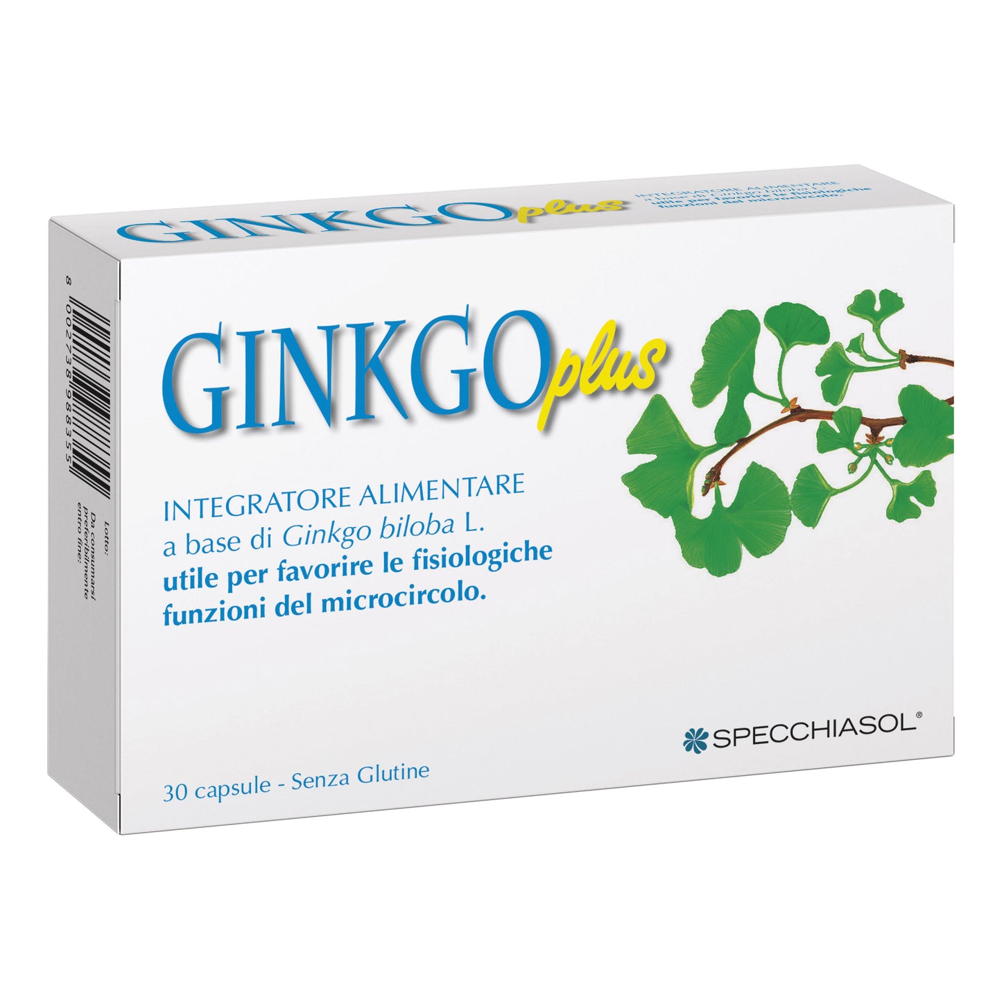 GINKGO PLUS 30 CAPSULE