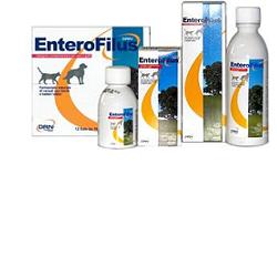 ENTEROFILUS MANGIME SEMPLICE 100 ML