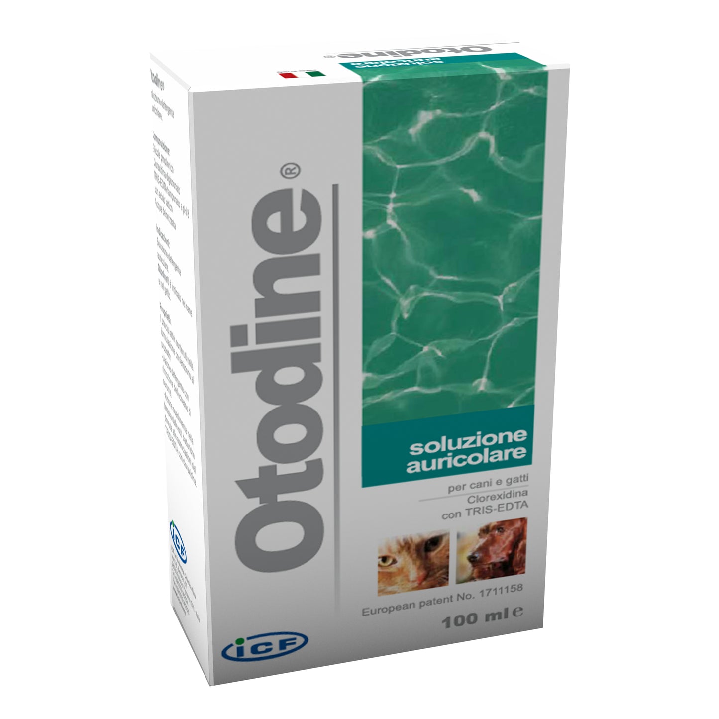 OTODINE DETERGENTE LIQUIDO 100 ML