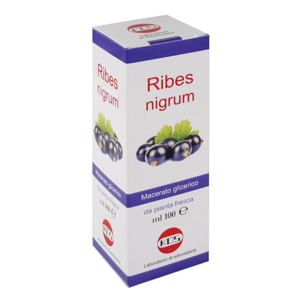 RIBES NIGRUM MACERATO GLICERICO 100 ML GOCCE