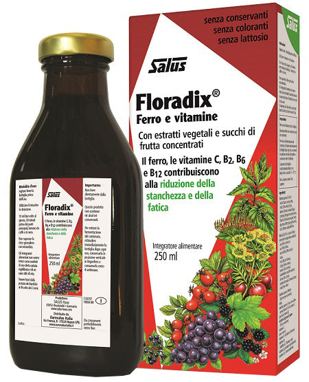 FLORADIX FERRO E VITAMINE 250 ML