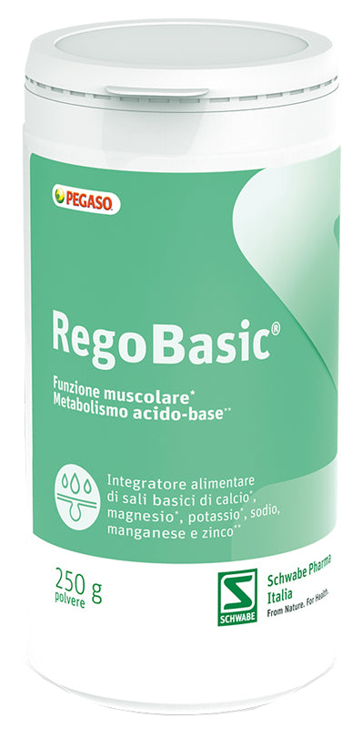 REGOBASIC POLVERE 250 G