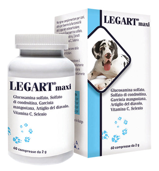 LEGART MAXI 60CPR