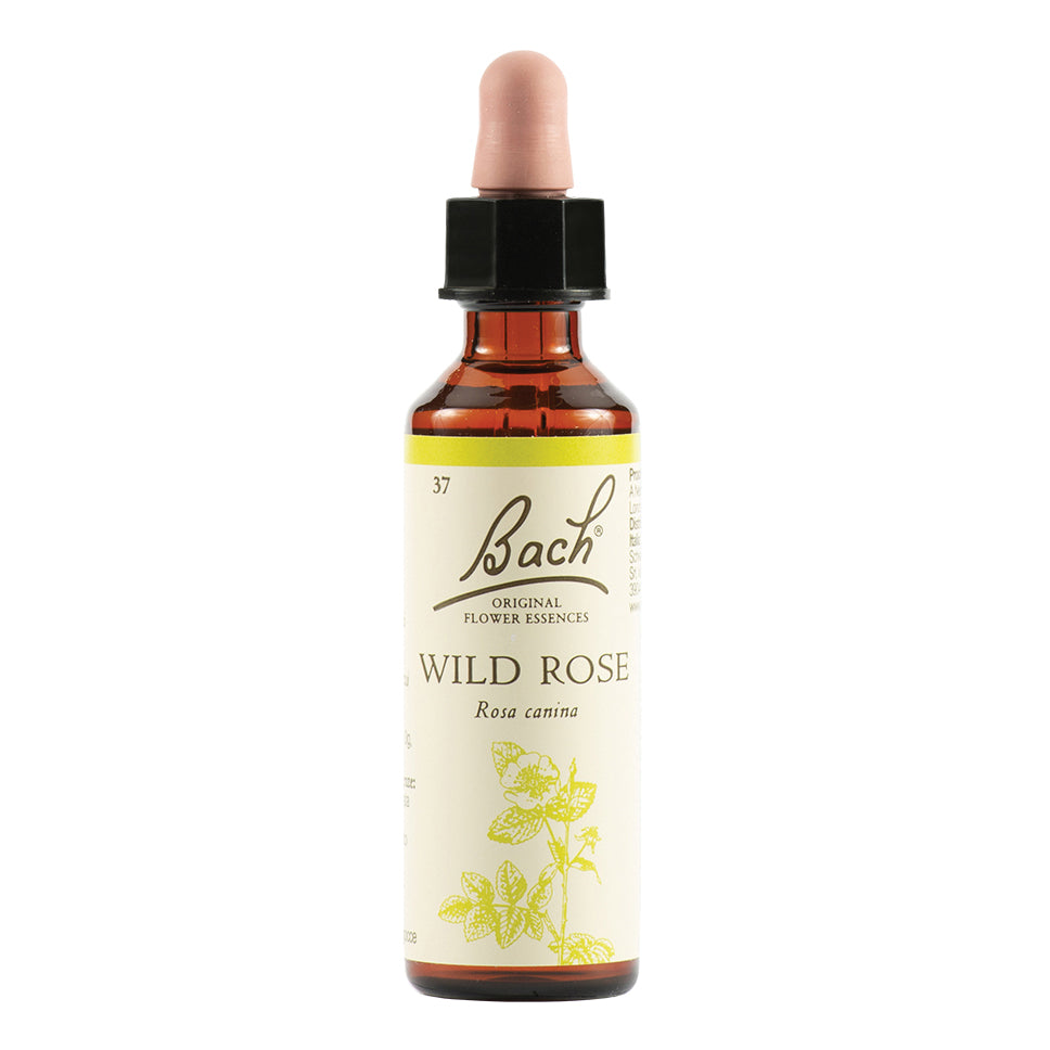 WILD ROSE BACH ORIG 20 ML