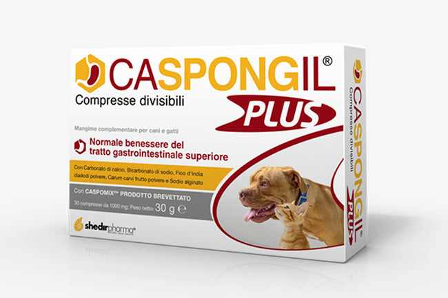 CASPONGIL PLUS 30 COMPRESSE