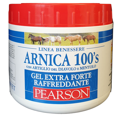ARNICA 100'S GEL EX FT RAFF500