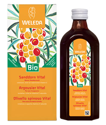 OLIVELLO SPINOSO VITAL SUCCO DI FRUTTA 250 ML