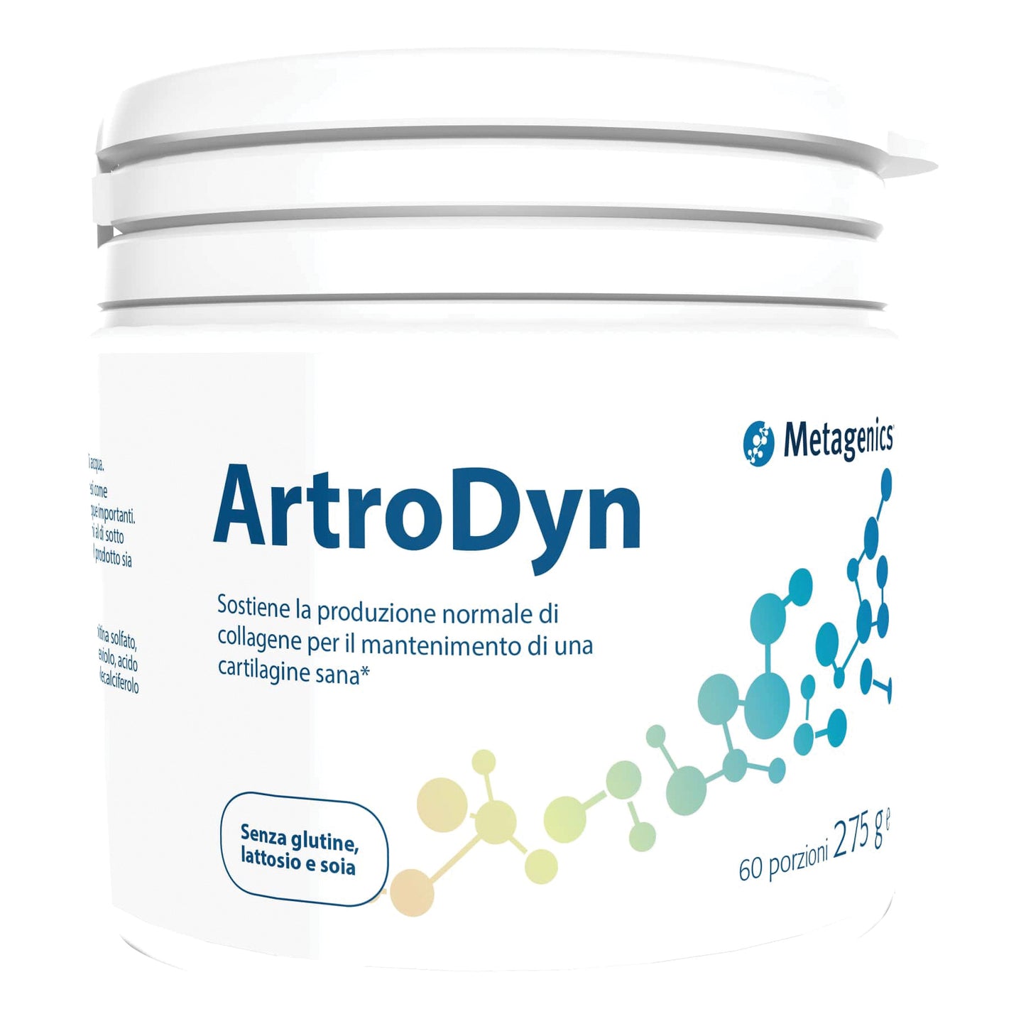 ARTRODYN 60 PORZIONI 275 G