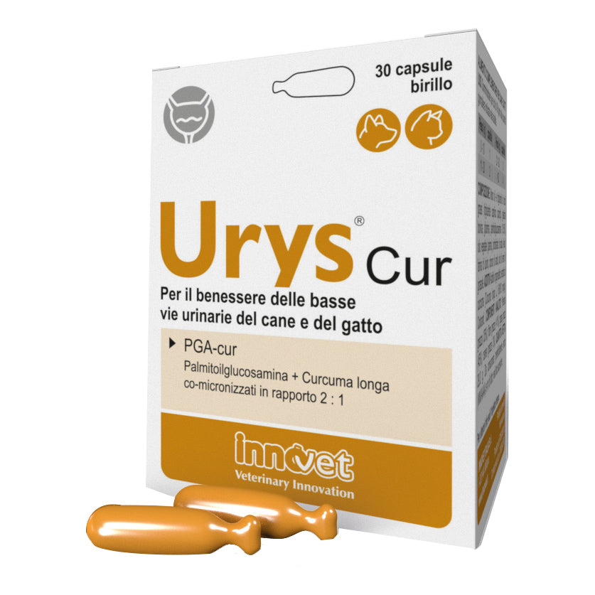 URYS CUR 30 CAPSULE BIRILLO