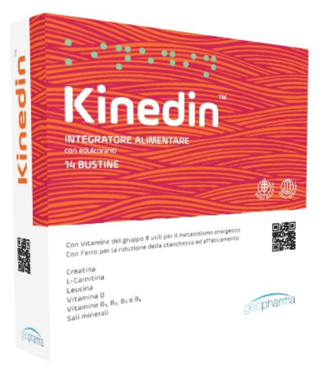 KINEDIN 14 BUSTINE