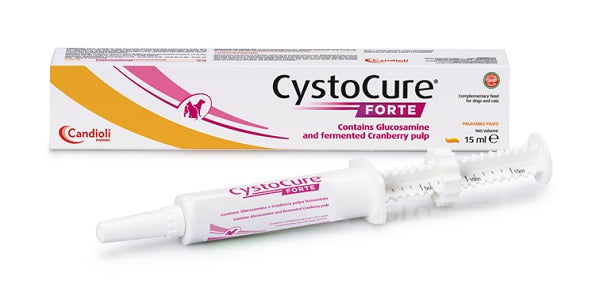 CYSTOCURE FORTE PASTA 15ML