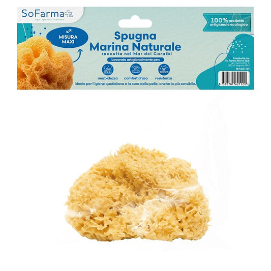 SPUGNA MARINA NAT MAXI SOFARMA